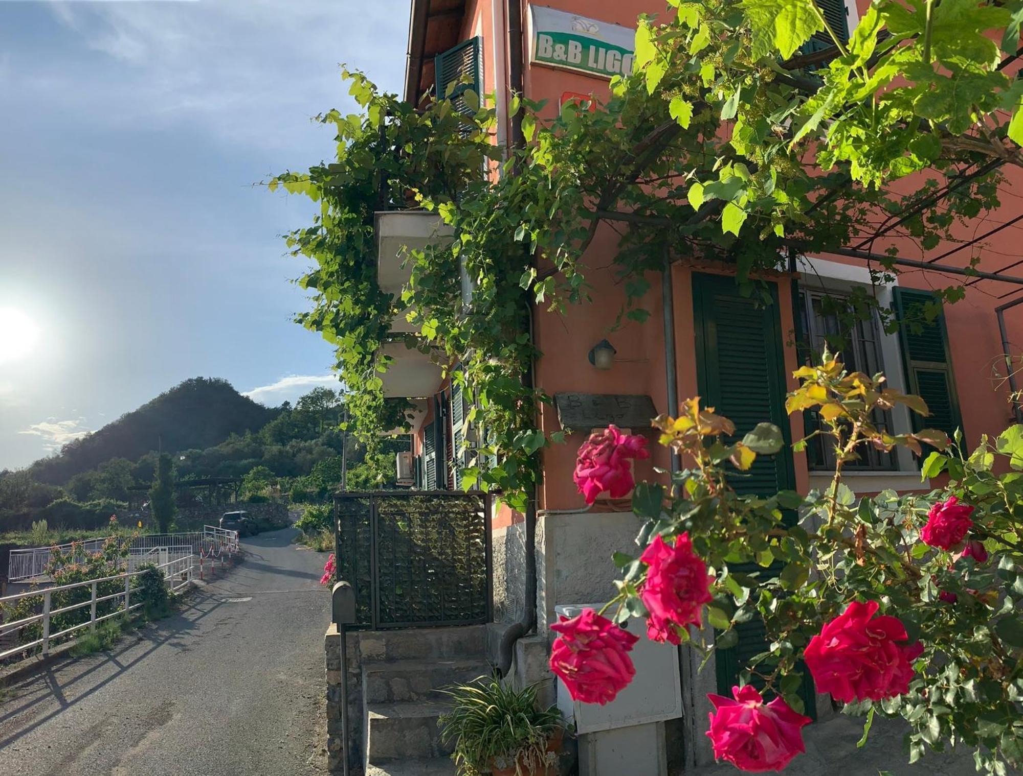 Ligo Bed & Breakfast Villanova d'Albenga Exterior foto