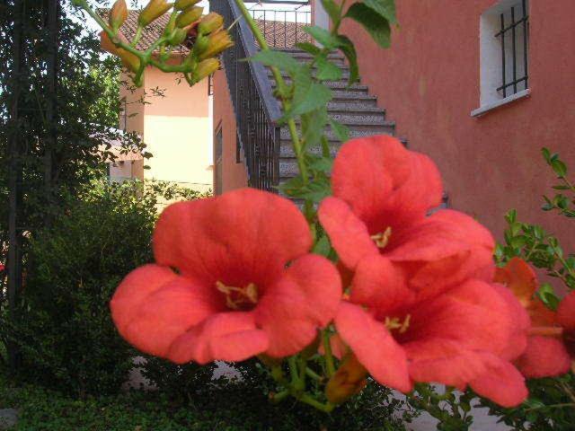 Ligo Bed & Breakfast Villanova d'Albenga Exterior foto