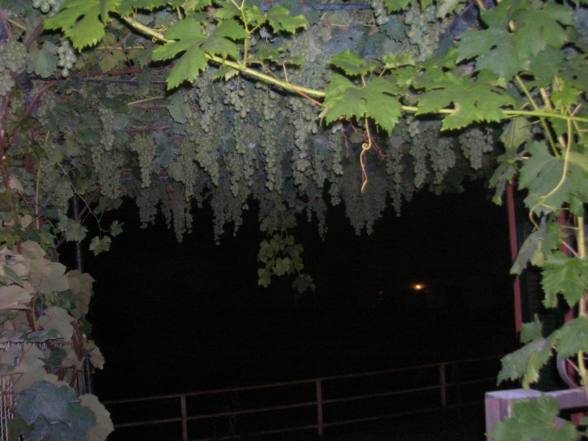 Ligo Bed & Breakfast Villanova d'Albenga Exterior foto