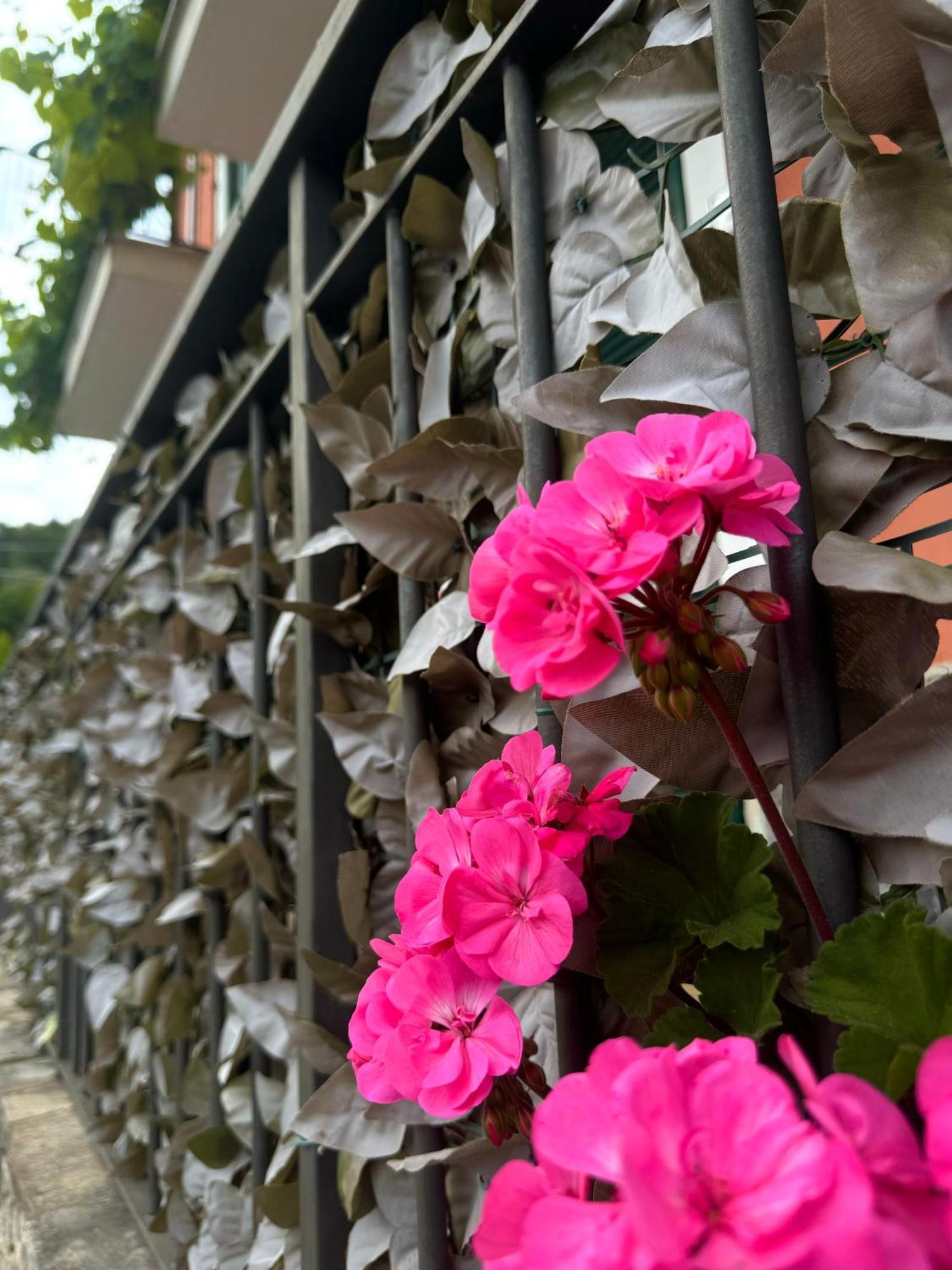 Ligo Bed & Breakfast Villanova d'Albenga Exterior foto
