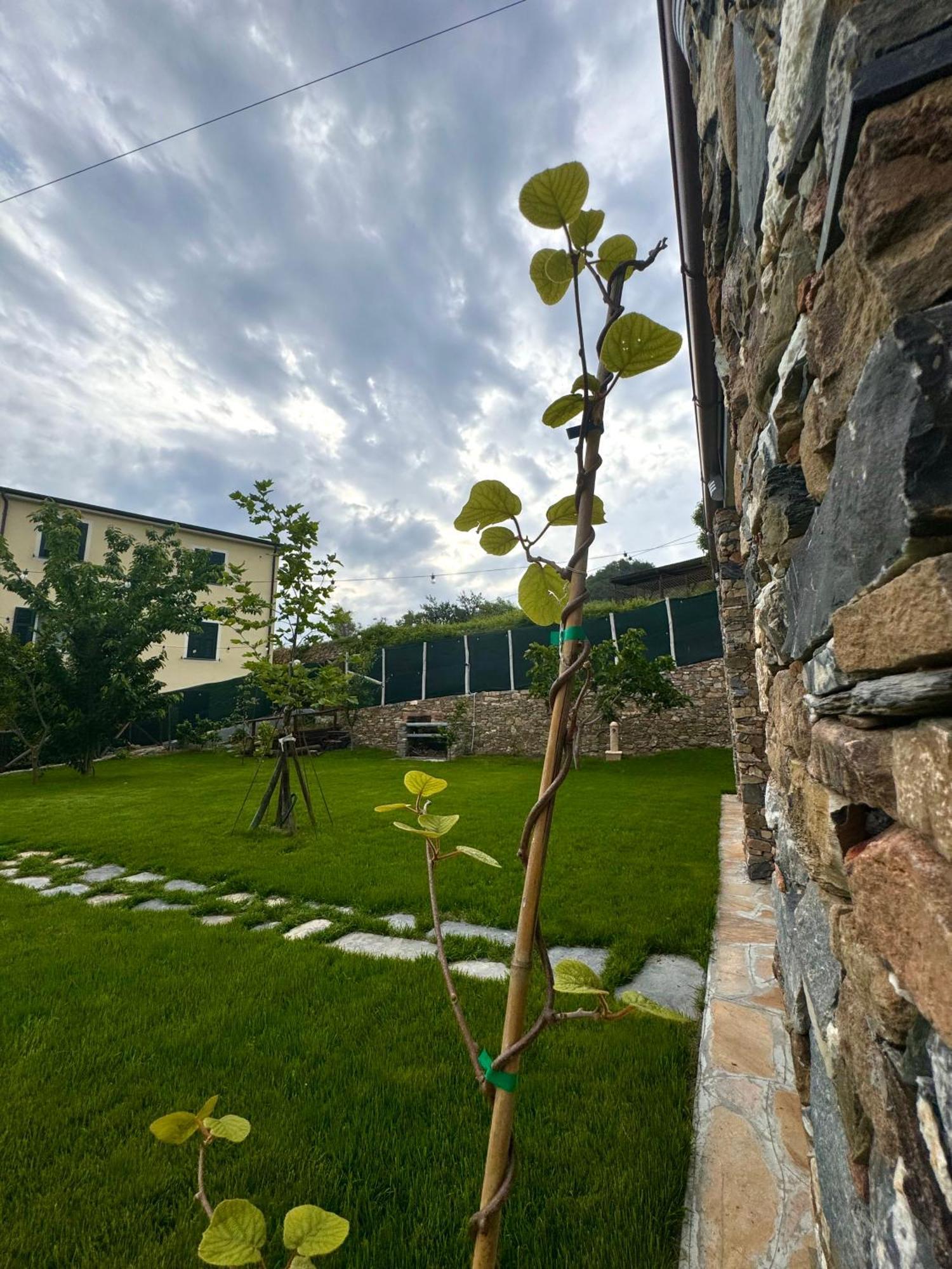 Ligo Bed & Breakfast Villanova d'Albenga Exterior foto