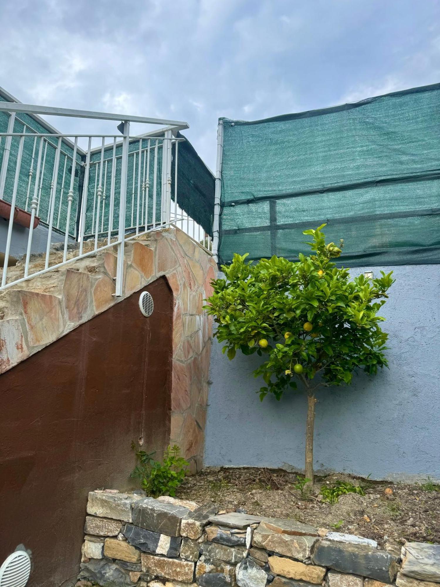 Ligo Bed & Breakfast Villanova d'Albenga Exterior foto