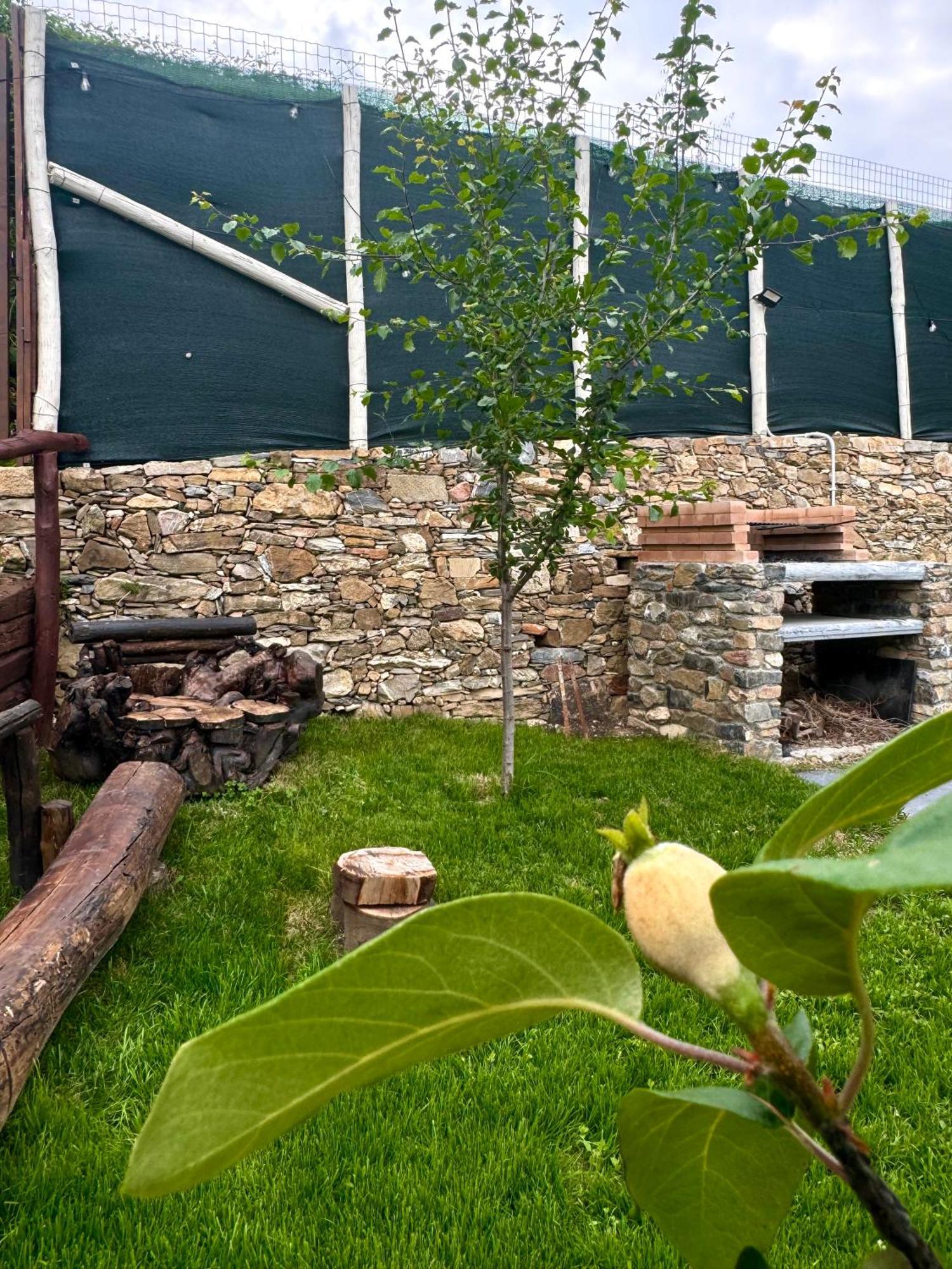 Ligo Bed & Breakfast Villanova d'Albenga Exterior foto